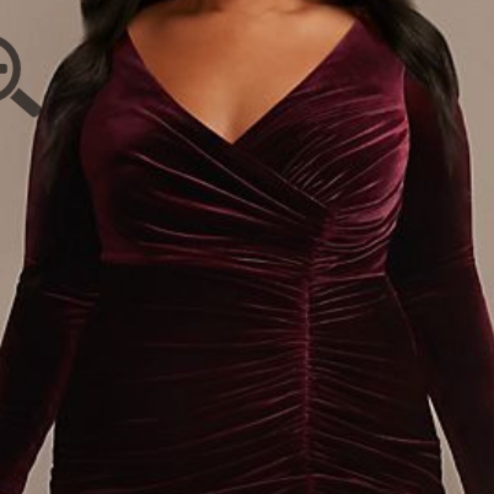 Long Sleeve Ruched Velvet